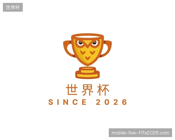 解读世界杯官方入口